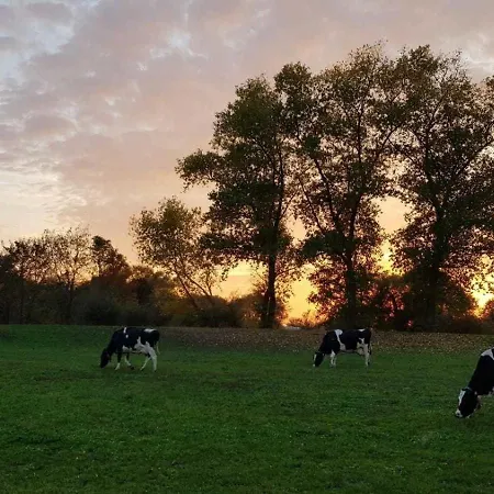 Inselhof Steengrafe - Strandblick Schwanewede