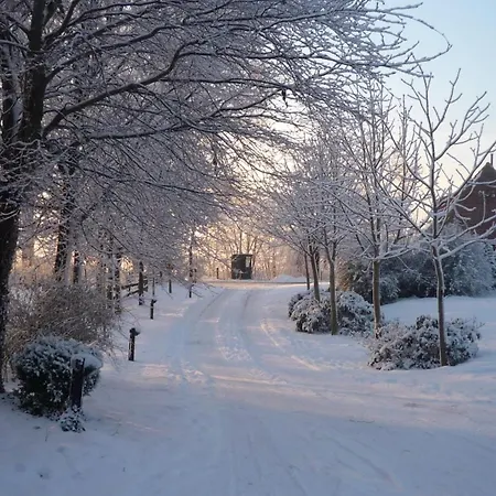 Apartment Inselhof Steengrafe - Strandblick